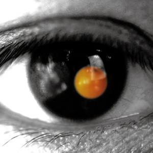 古东真理子一区二区
