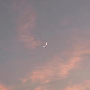 古东真理子一区二区
