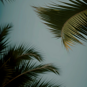 古东真理子一区二区
